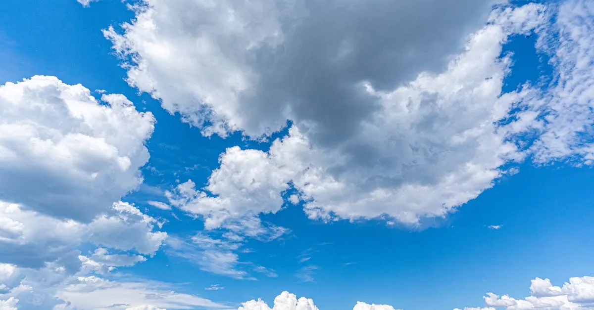 A bright blue sky filled with white clouds